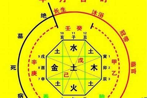 五行查|生辰八字算命、五行喜用神查询（免费测算）